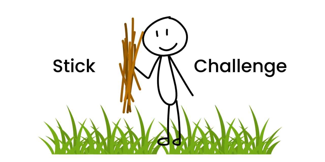 County Outdoor Stick Challenge!